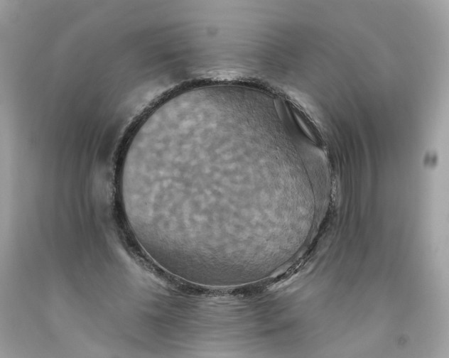 X0000091540540200709141457