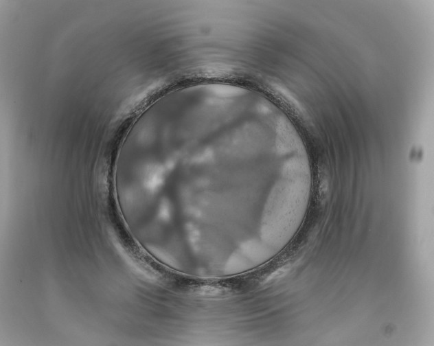 X0000091540542200709141457