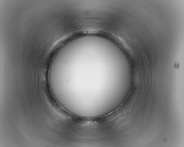 X0000091540543200709141457