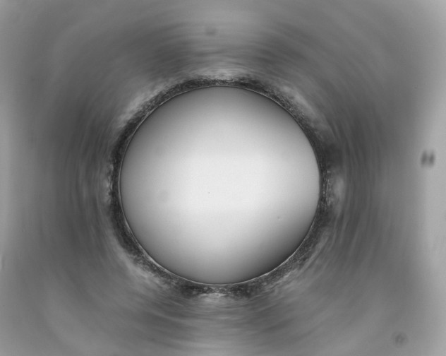 X0000091540544200709141457