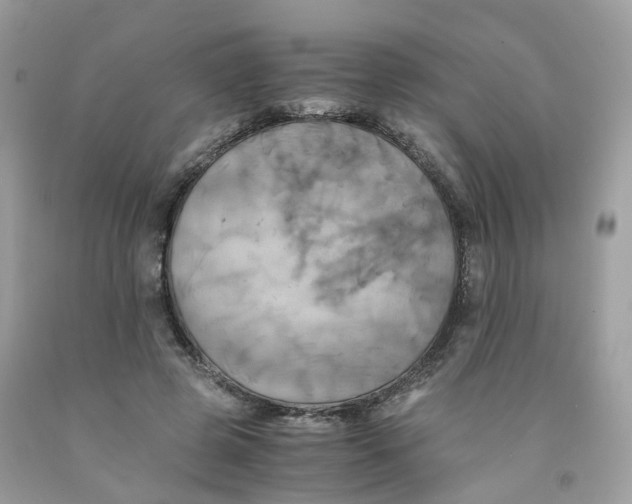 X0000091540545200709141457