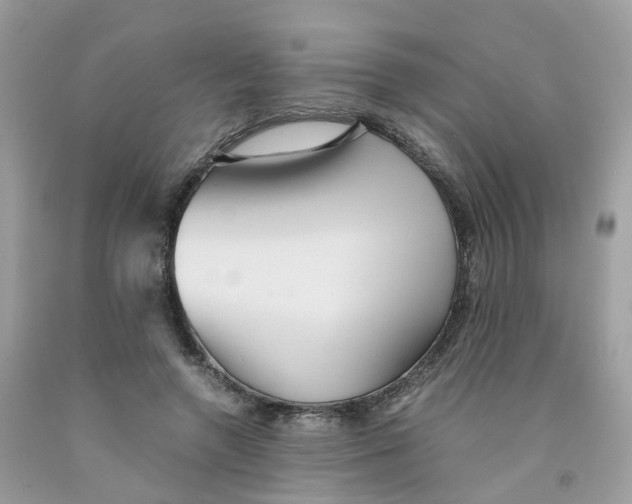 X0000091540546200709141457