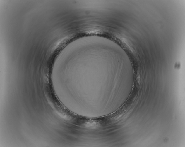 X0000091540547200709141457