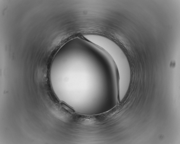 X0000091540548200709141457