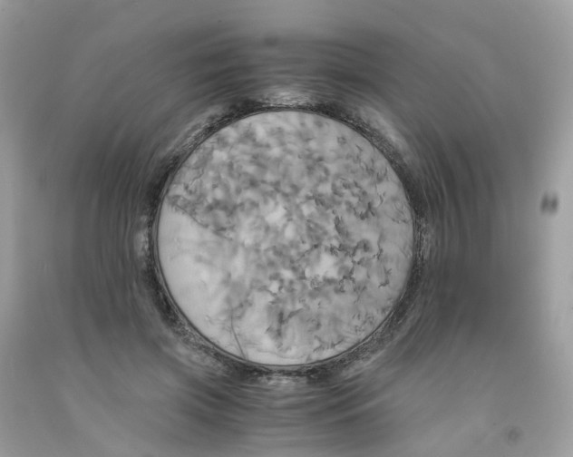 X0000091540549200709141457