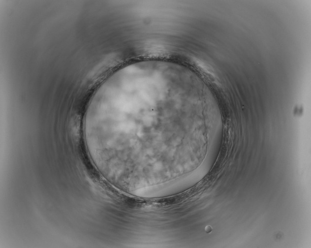 X0000091540550200709141457