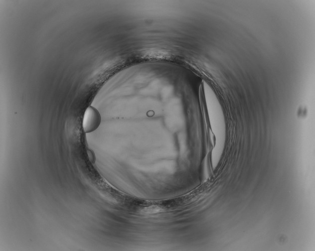 X0000091540551200709141457