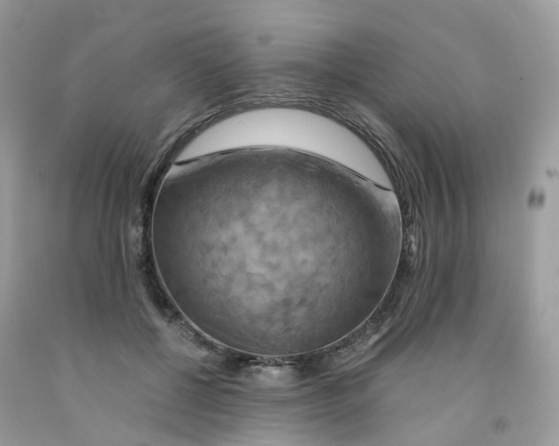 X0000091540552200709141458