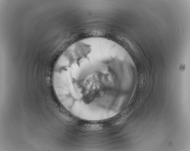 X0000091540553200709141458