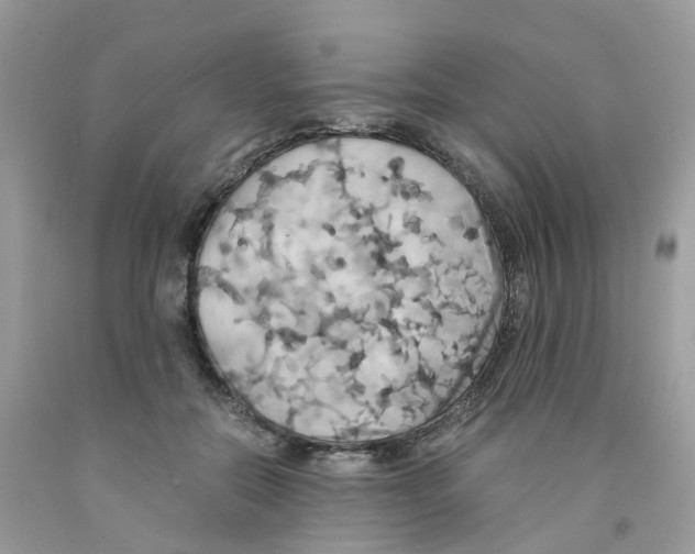 X0000091540554200709141458