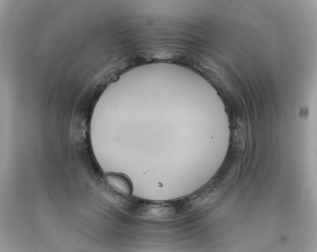 X0000091540555200709141458