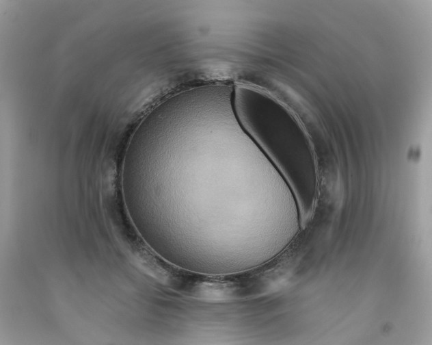 X0000091540556200709141458