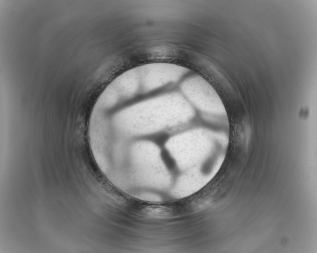 X0000091540557200709141458