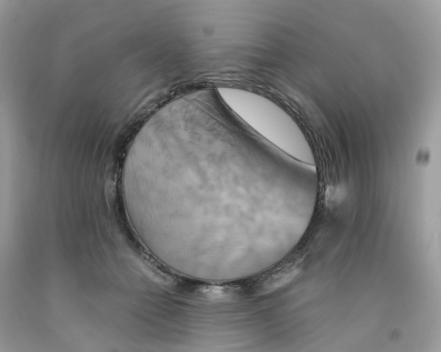 X0000091540558200709141458