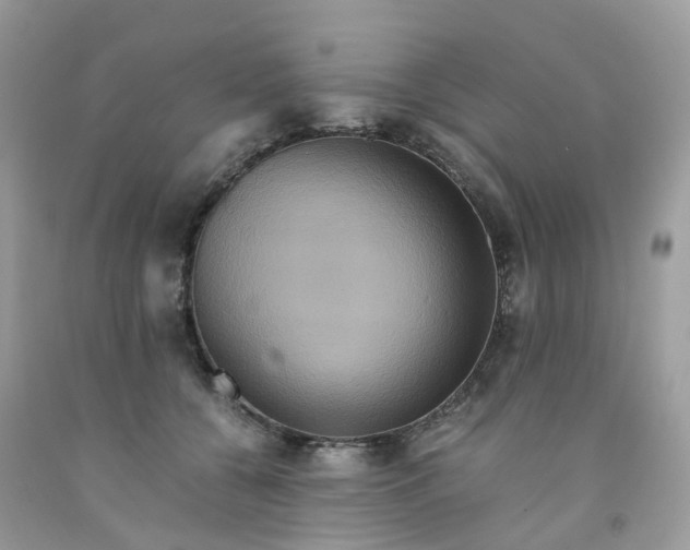 X0000091540560200709141458