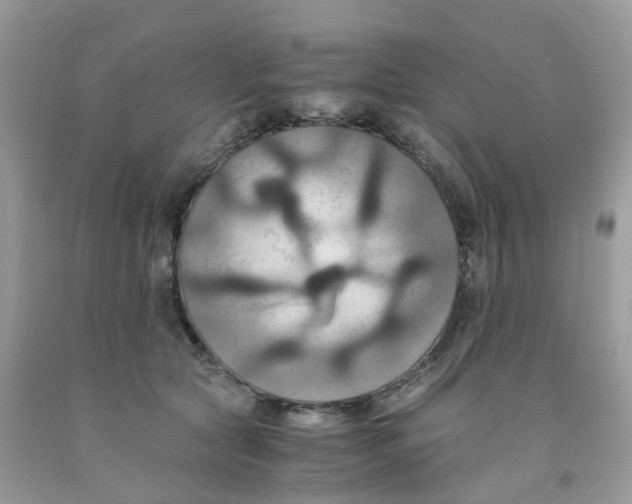 X0000091540561200709141458