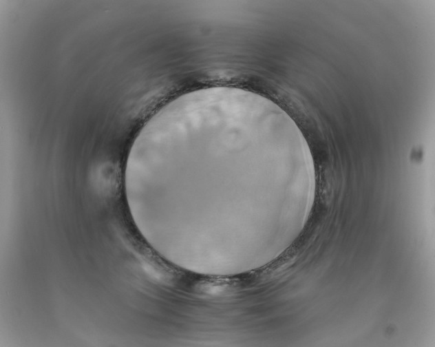 X0000091540563200709141458