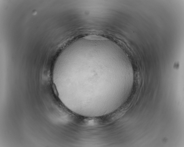 X0000091540564200709141458