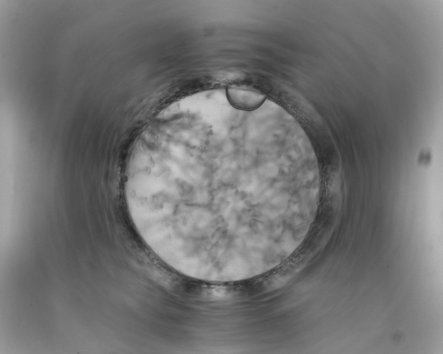 X0000091540565200709141458