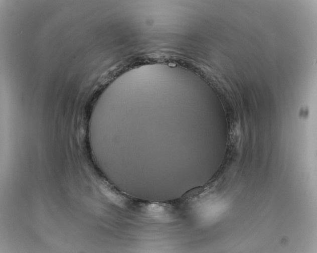 X0000091540566200709141458