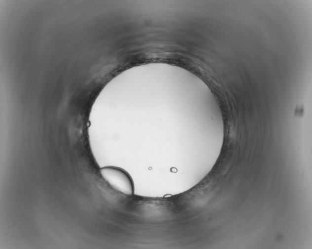 X0000091540567200709141458