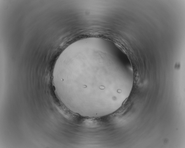 X0000091540568200709141458