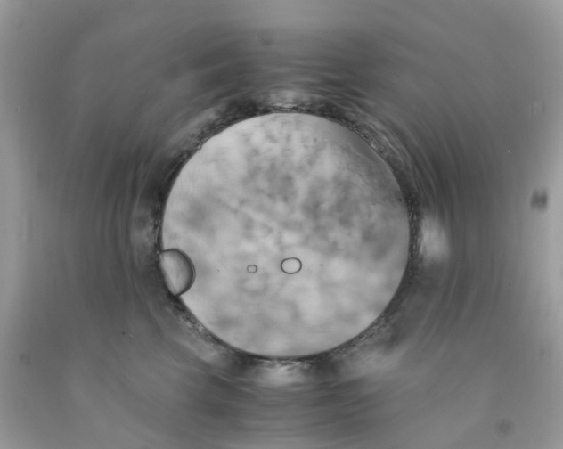 X0000091540569200709141458