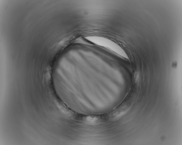 X0000091540570200709141458