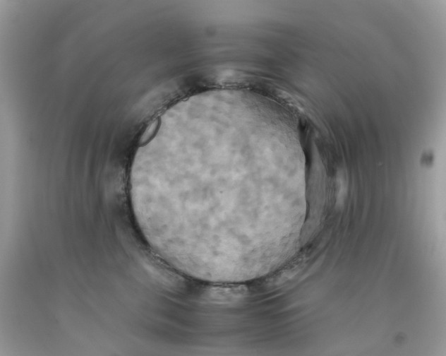 X0000091540571200709141458