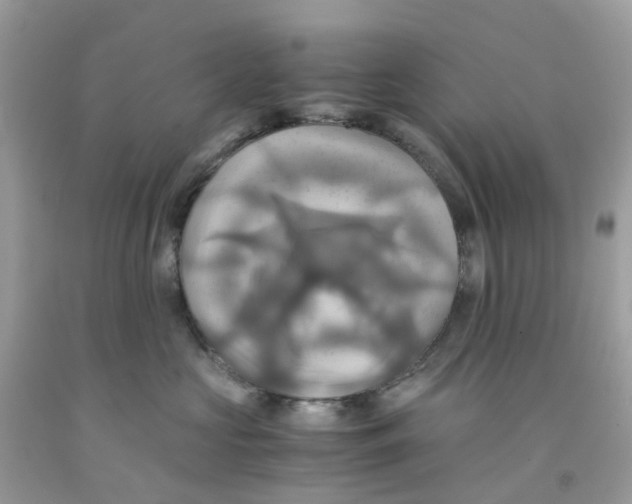 X0000091540573200709141458