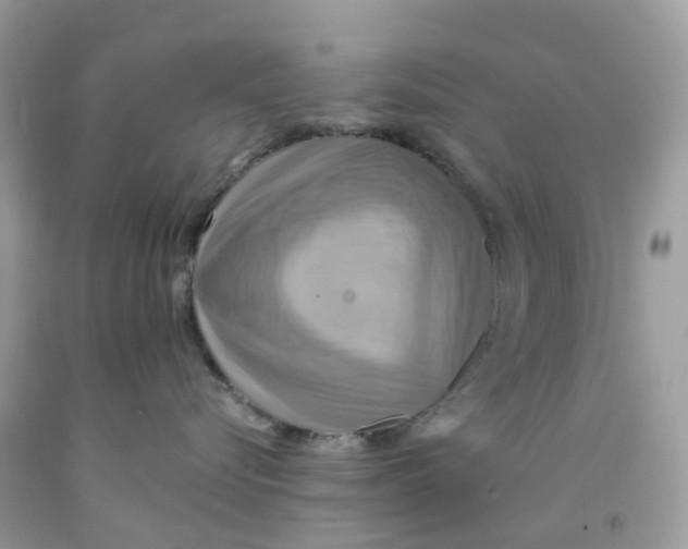 X0000091540576200709141458