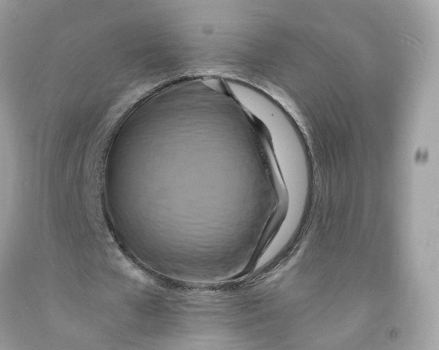 X0000091540577200709141457