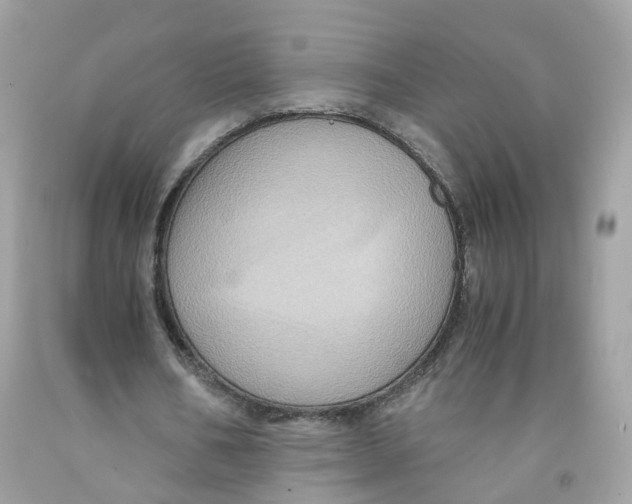 X0000091540578200709141457