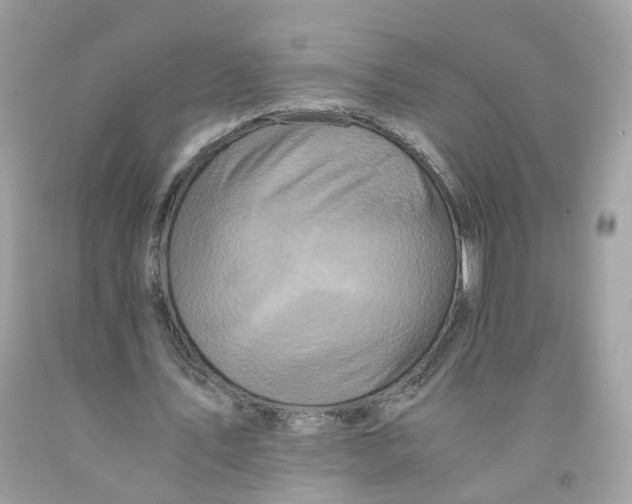 X0000091540579200709141457