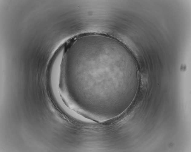 X0000091540580200709141457