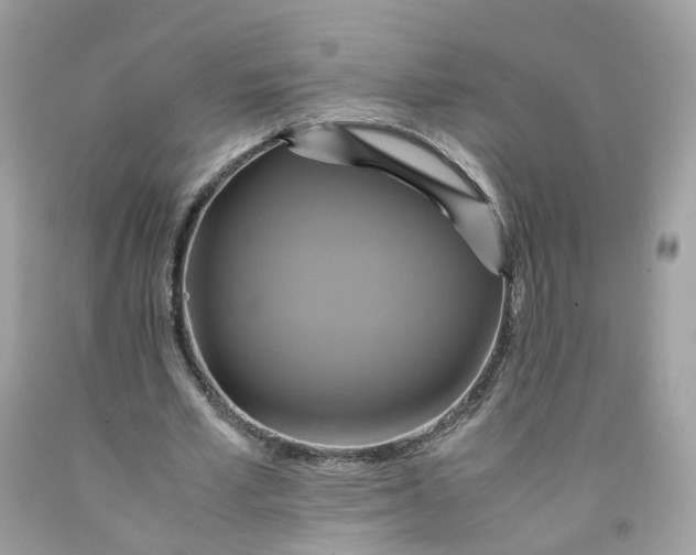 X0000091540581200709141457