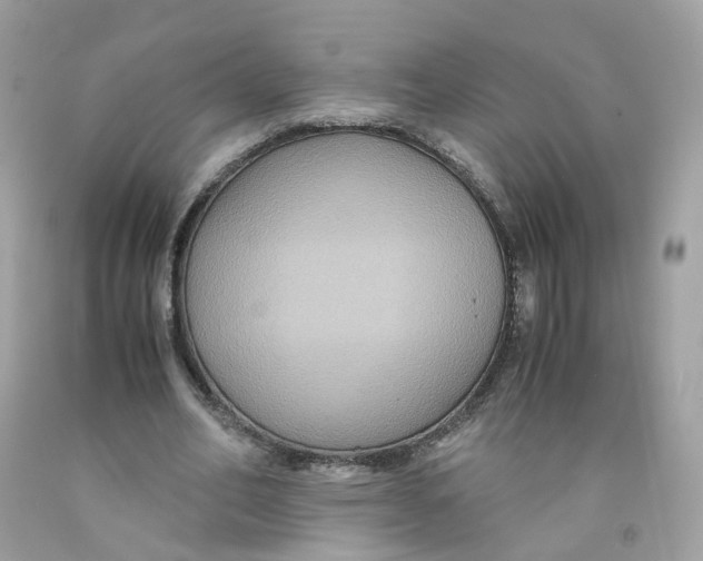 X0000091540582200709141457