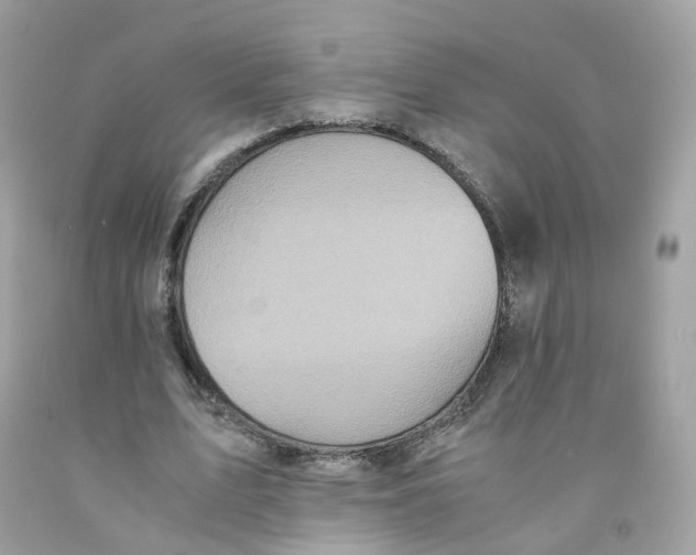 X0000091540583200709141457