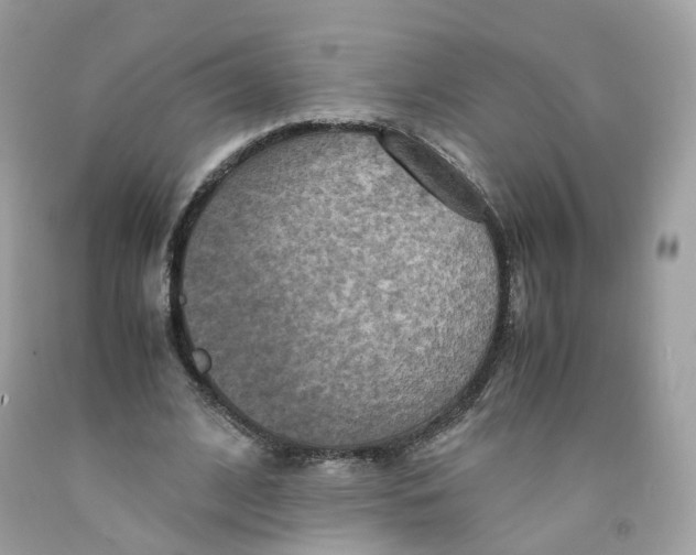 X0000091540584200709141457