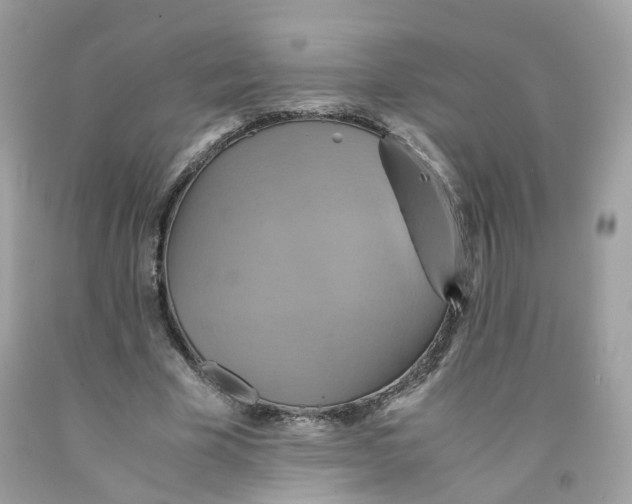 X0000091540585200709141457