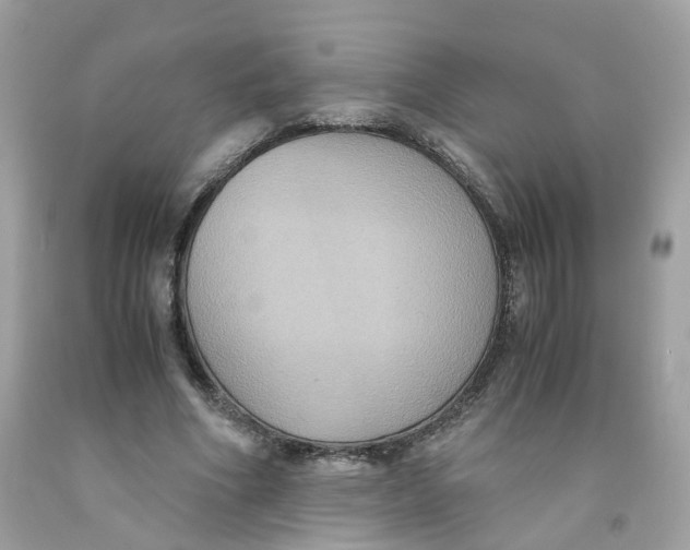 X0000091540586200709141457