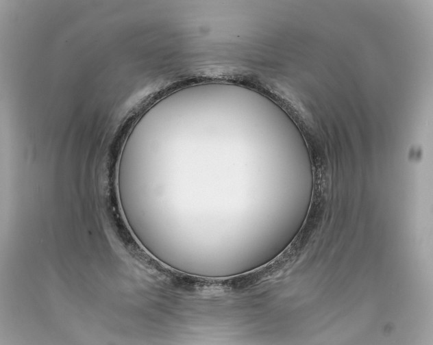 X0000091540587200709141457