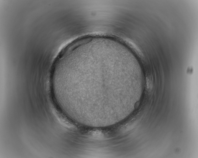 X0000091540588200709141457