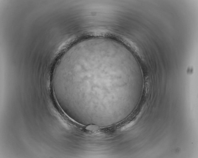 X0000091540589200709141457