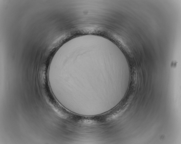 X0000091540590200709141457