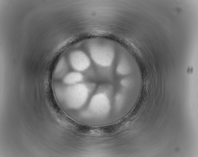 X0000091540591200709141457