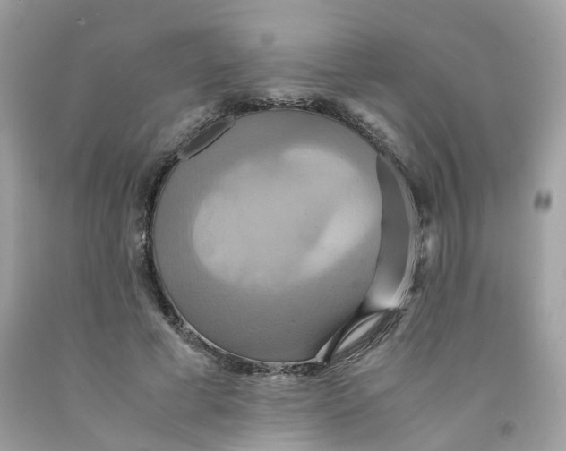 X0000091540593200709141457