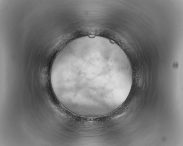 X0000091540594200709141457