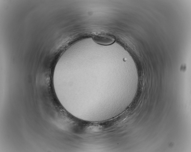 X0000091540595200709141457