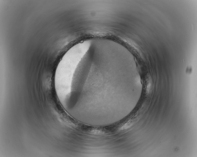 X0000091540596200709141457